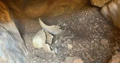 Depo kazısında ortaya çıkan tarihi keşifte kazı çalışmaları başladı #mugla