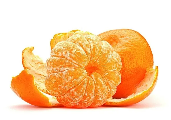 En besleyici yiyecekler açıklandı!