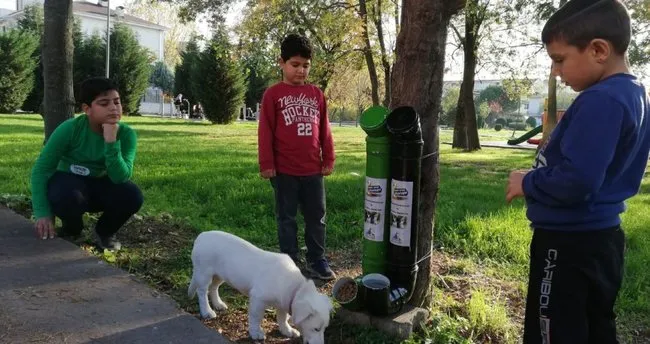 Kartepe’nin sevimli dostlarına yeni kaplar