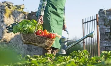 Organik tarım ve permakültür konvansiyonel tarıma alternatif sunuyor