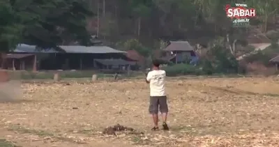Eğitmen çağırdı, filler böyle geldi
