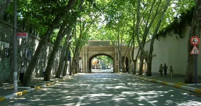 Son dakika | İBB’den açık açık yalan! Kesilen ağaçlarla ilgili çarpıcı açıklama: İzin dahi almamışlar