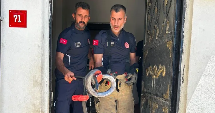Adıyaman’da evde yılan paniği!
