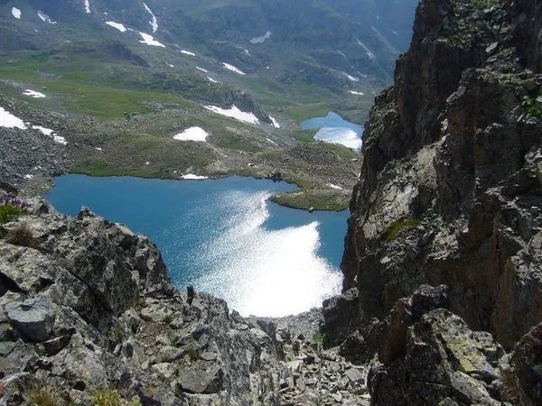 Doğu Karadeniz'de 117 tane var