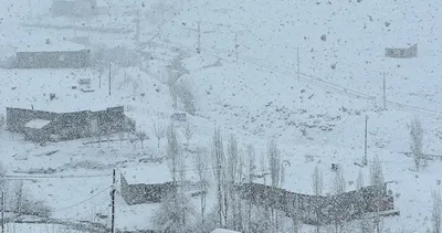 İlkbaharda kış geri döndü, lapa lapa kar yağışı #hakkari