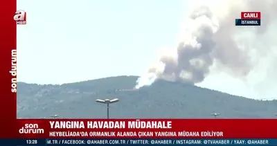SON DAKİKA: İstanbul Heybeliada’da orman yangını! Olay yerinden ilk görüntüler