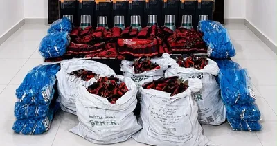 Kaçakçılık operasyonlarında 1 tutuklama
