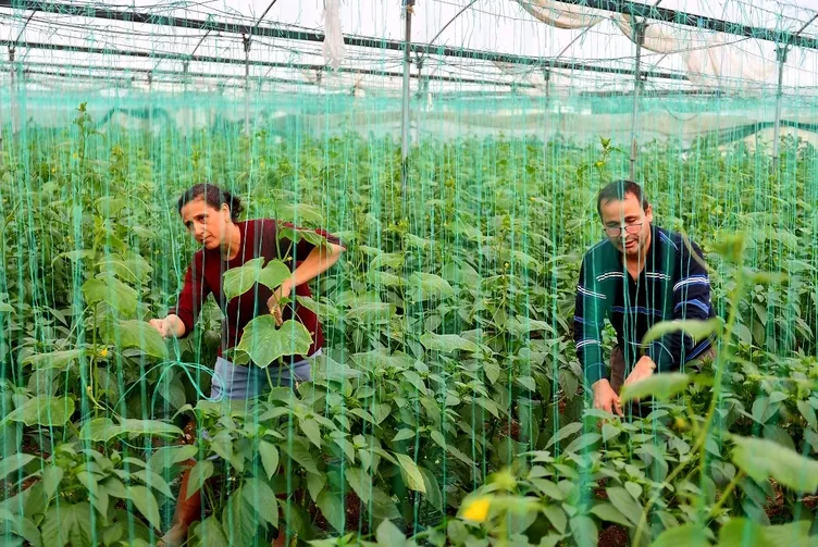 Bakanlık çiftçiler için yeni sistemi hayata geçiriyor! Tarih verildi