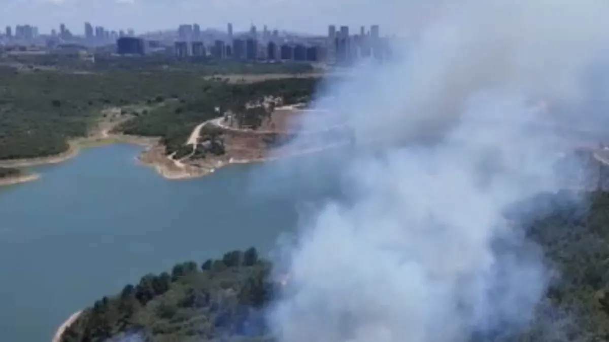 Son dakika: Sultangazi Kent Ormanı'nda yangın! Müdahaleler sürüyor Son dakika: Sultangazi Kent Ormanı'nda yangın! Müdahaleler sürüyor