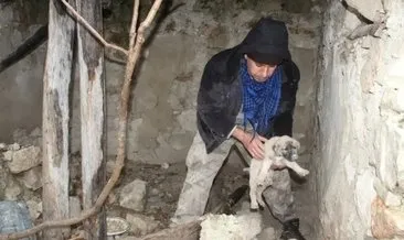 Toprak altında kalan yavru köpekleri belediye kurtardı