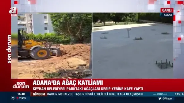 Adana'da ağaç katliamı! CHP'li Belediye parktaki ağaçları kesip yerine kafe yaptı | Video