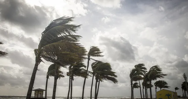 Rüzgar oluşuma neden olan etmenler nelerdir? Rüzgar nasıl oluşur? - Son Dakika Eğitim Haberleri