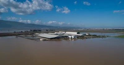 İzmir’de rekor yağış tarım arazilerini göle döndürdü