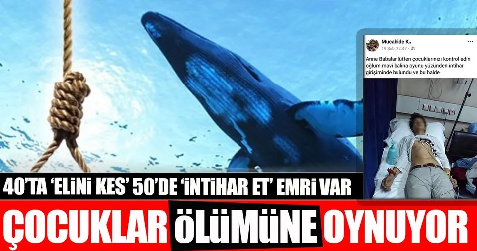 Mavi Balina Da Felaketler Zinciri En Son Haber