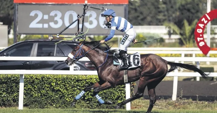 100.yılın şampiyonu Urfa Aslanı