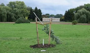 Almanya’da NSU kurbanı anısına dikilen ağaca çirkin saldırı