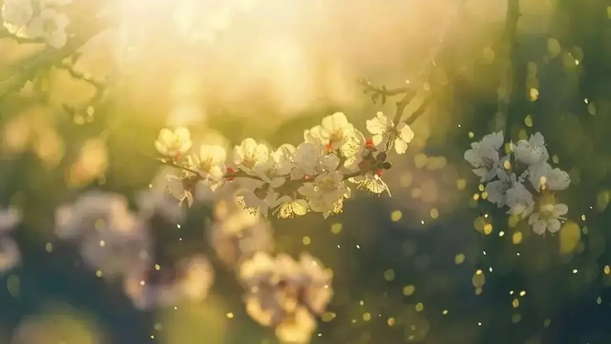 CEMRE DÜŞME TARİHLERİ 2026 | 2. cemre ne zaman düşecek, havalar ne zaman ısınacak?