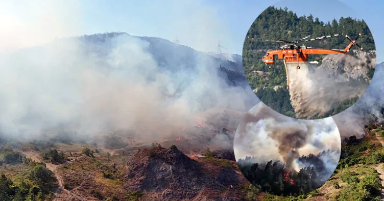 SON DAKİKA | 5 ilde alevlerle mücadele! Bursa Valiliği son durumu paylaştı