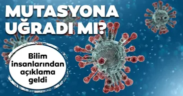 Corona virüsü mutasyona uğradı mı? SARS-CoV-2 genomu incelendi ve...
