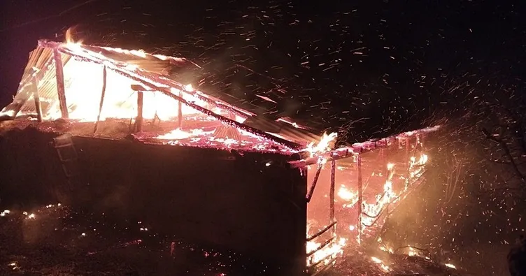 Sobadan çıkan yangın, evi küle çevirdi