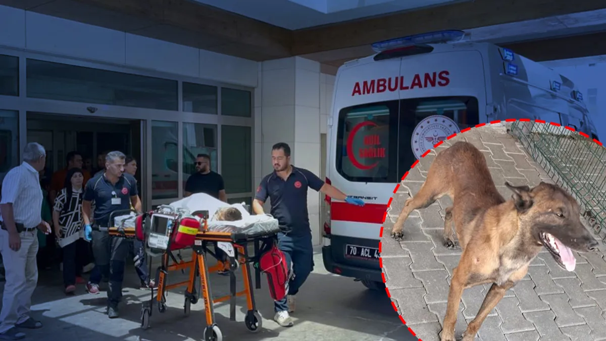 Karaman’da köpek dehşeti: 3 yaşındaki çocuk ağır yaralandı Karaman’da köpek dehşeti: 3 yaşındaki çocuk ağır yaralandı