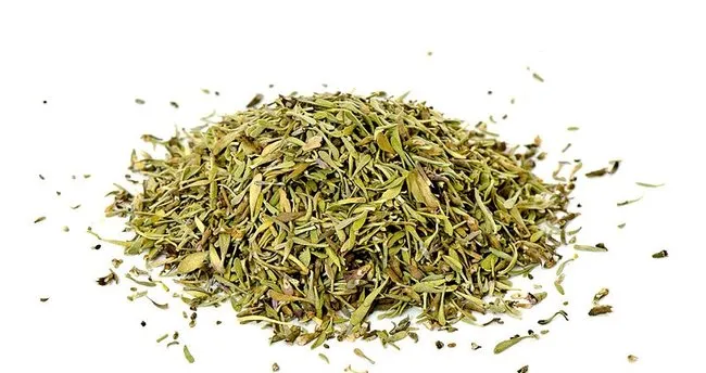 Kekigin Faydalari Nelerdir Sifa Deposu Kekik Ile Ilgili Bilinmeyenler Saglik Haberleri