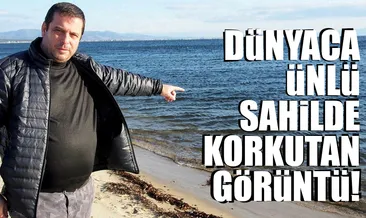 Dünyaca ünlü sahilde korkutan görüntü!