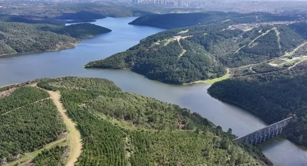son-gunlerdeki-yagislar-barajlarin-seviyesini-yukseltti-istanbulun-barajlarindaki-doluluk-orani-yuzde-30un-uze-1734110455966.jpg