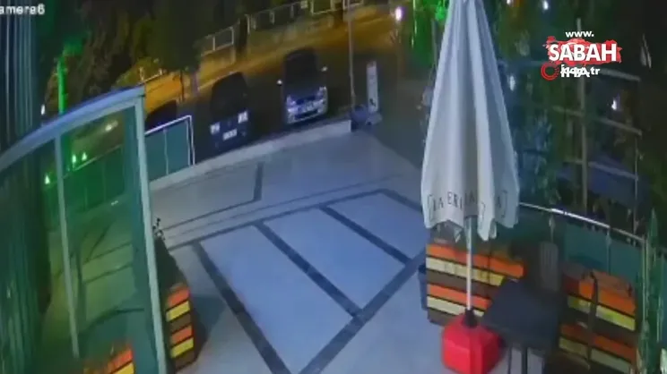 Çocuğunu ayıdan böyle kurtardı | Video