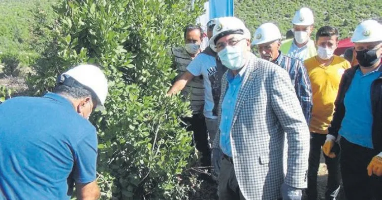 Antalya’da hasat bereketi