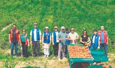 Haydi gençler tarlaya #artvin