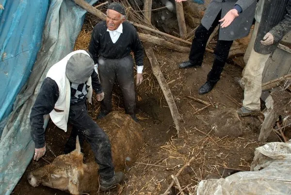 Muş'ta 5,0 büyüklüğünde deprem