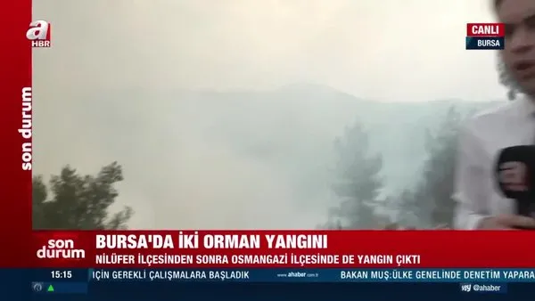 Bursa'da ormanlık alanda çıkan iki yangına müdahale sürüyor | Video