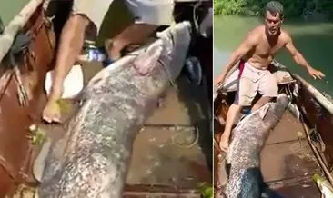 Ceyhan Nehri’nde dev yayın balığı yakalandı
