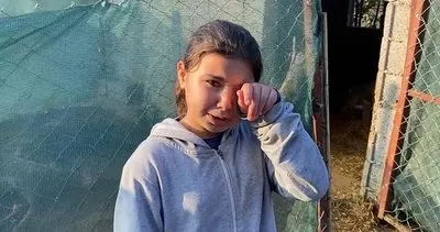 Hürü Melek şimdi çok mutlu: Koyunları telef olunca gözyaşı döken Hürü Melek’e belediye başkanı 4 koyun hediye etti #osmaniye