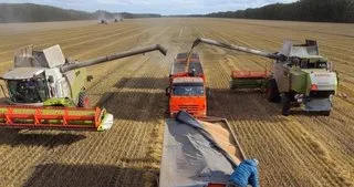 Rusya’dan Afrika’ya bedelsiz tahıl sevkiyatı