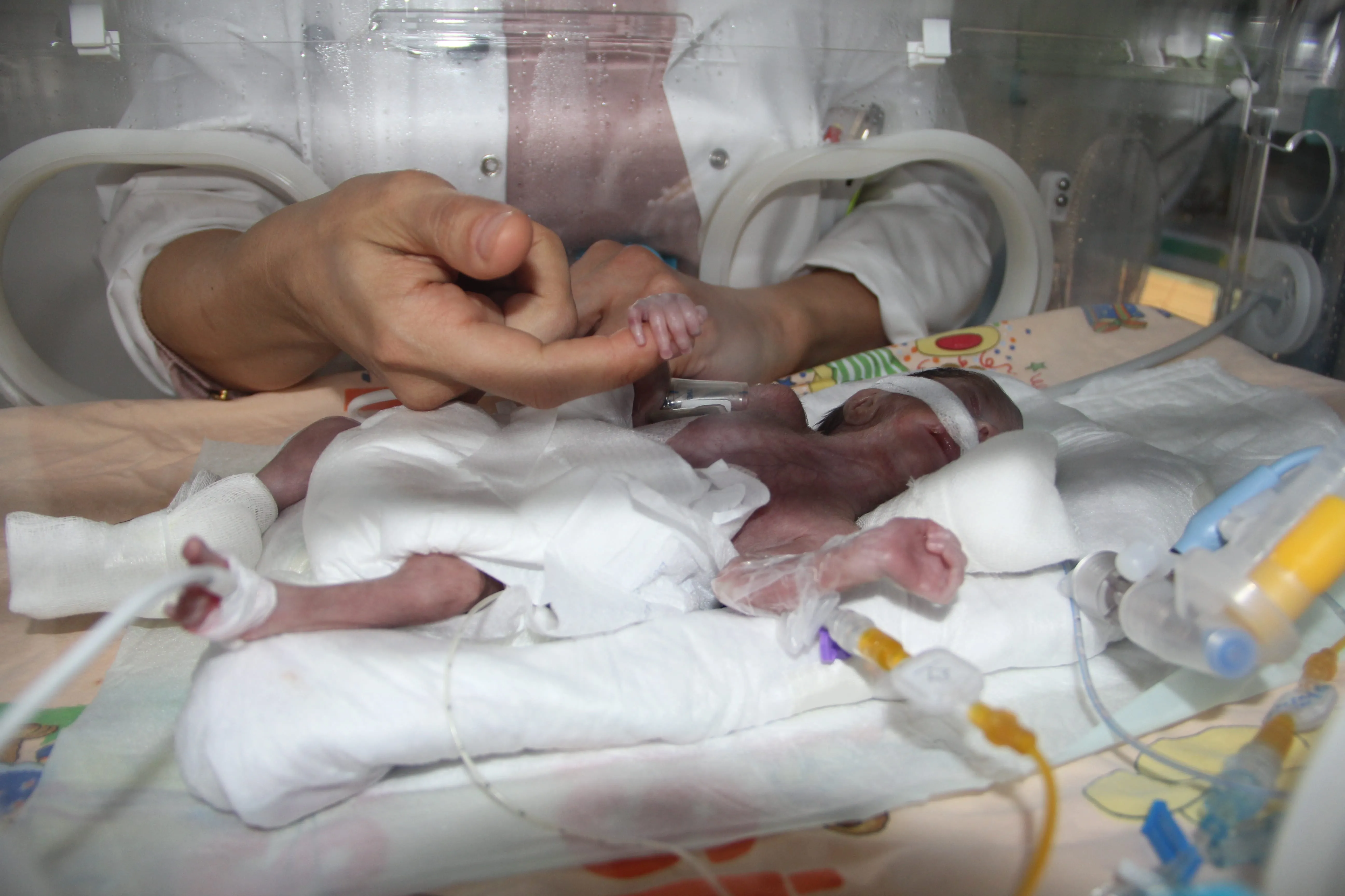 Parmak bebek dünyaya geldi Son Dakika Haberler