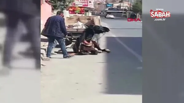 Kayseri'de yorgunluktan yere çöken atını tekmeleyerek kaldıran vicdansız adama tepki!
