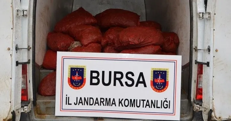 Bursa’da 1 ton 200 kilo kaçak midye ele geçirildi