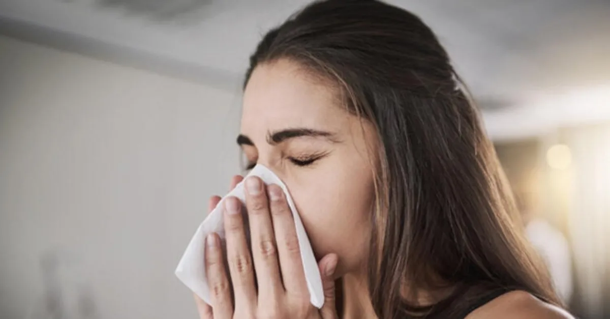 evde geniz akintisina ne iyi gelir ve nasil gecer geniz akintisina iyi gelen seyler dogal ve bitkisel cozumler saglik haberleri