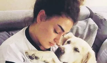 Köpeği ameliyat oldu