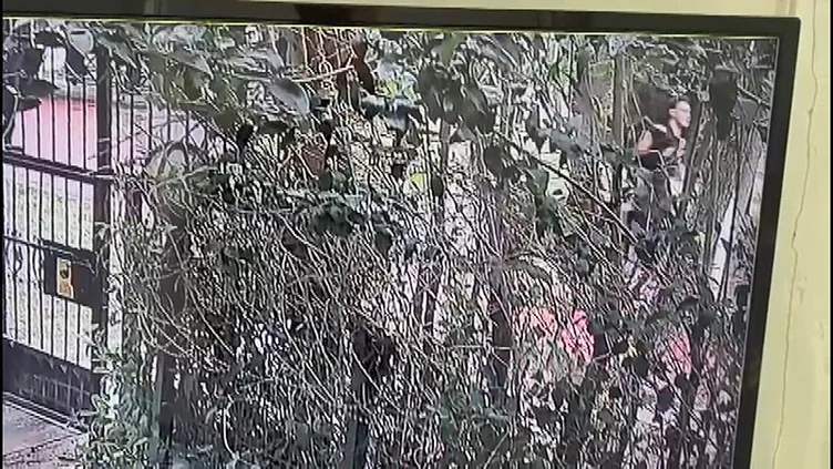 SON DAKİKA... İstanbul Esenyurt’ta vahşet! 16 yaşındaki Egemen 79 yaşındaki Mustafa Ergene’yi tek yumrukla öldürdü!