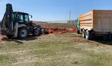 Aksaray’da skandal görüntüler! 40 ton kuru soğan boş araziye döküldü
