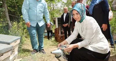 Afyon'da arıcılara destek: Varroa ile mücadele projesi başlatıldı #afyonkarahisar