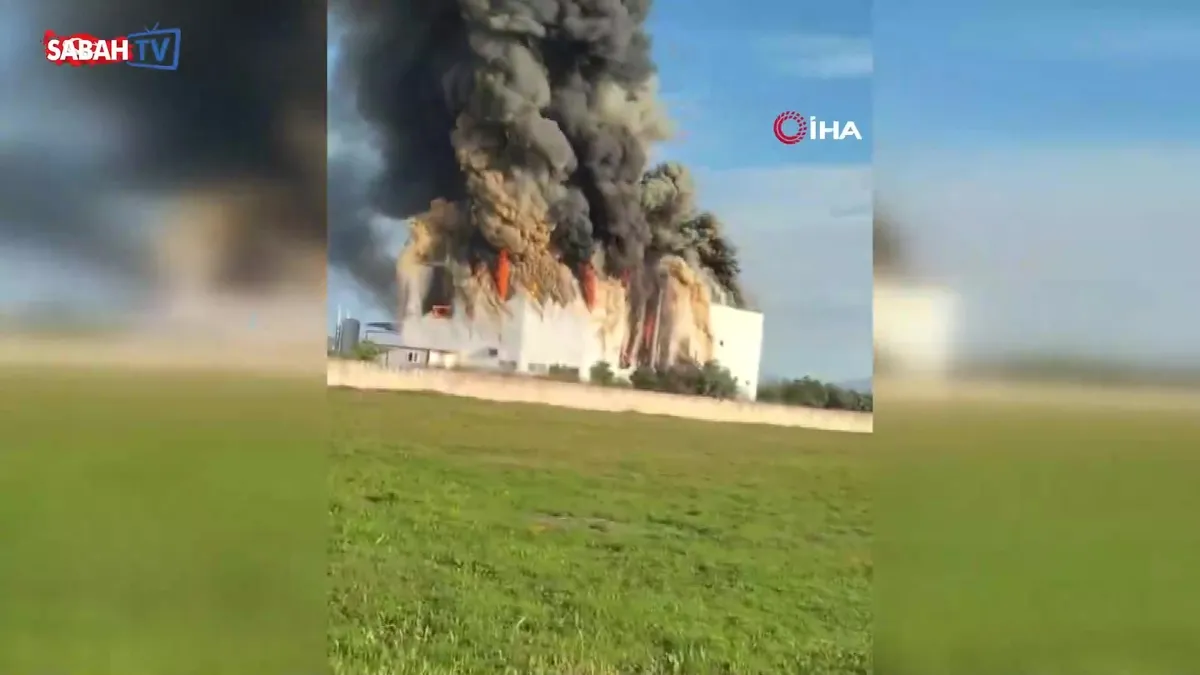 Antalya’da patates üretim tesisinde yangın | Video videosunu izle Antalya’da patates üretim tesisinde yangın | Video videosunu izle