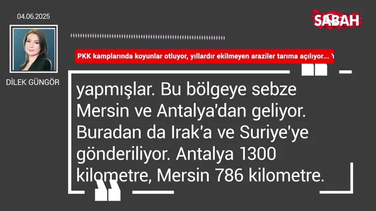 Dilek Güngör | Yeni Çukurova Şırnak