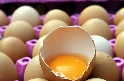 Çin’de bu sefer de sahte yumurta üretildi