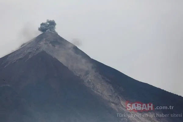 Korkunç görüntüler ortaya çıktı