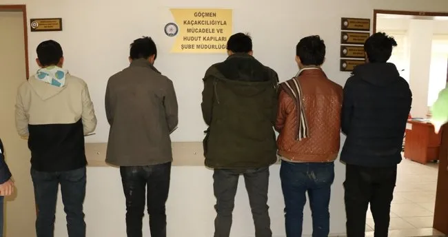 Koyun yüklü tırda 5 kaçak göçmen yakalandı