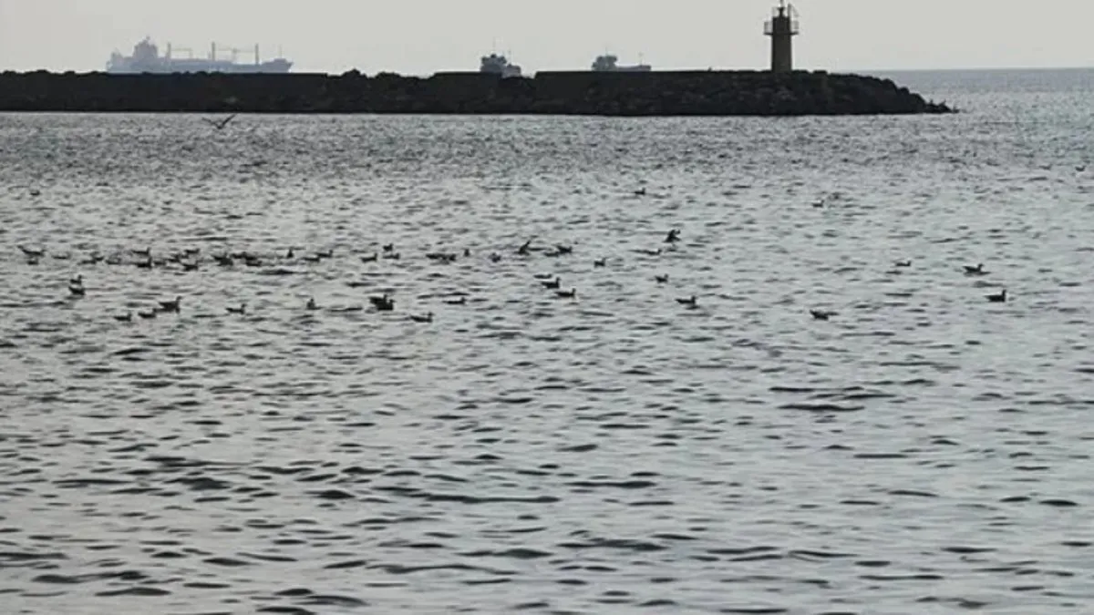 Tekirdağ’ın Saray ilçesinde tüm plajlarda 2 gün denize girmek yasaklandı Tekirdağ’ın Saray ilçesinde tüm plajlarda 2 gün denize girmek yasaklandı